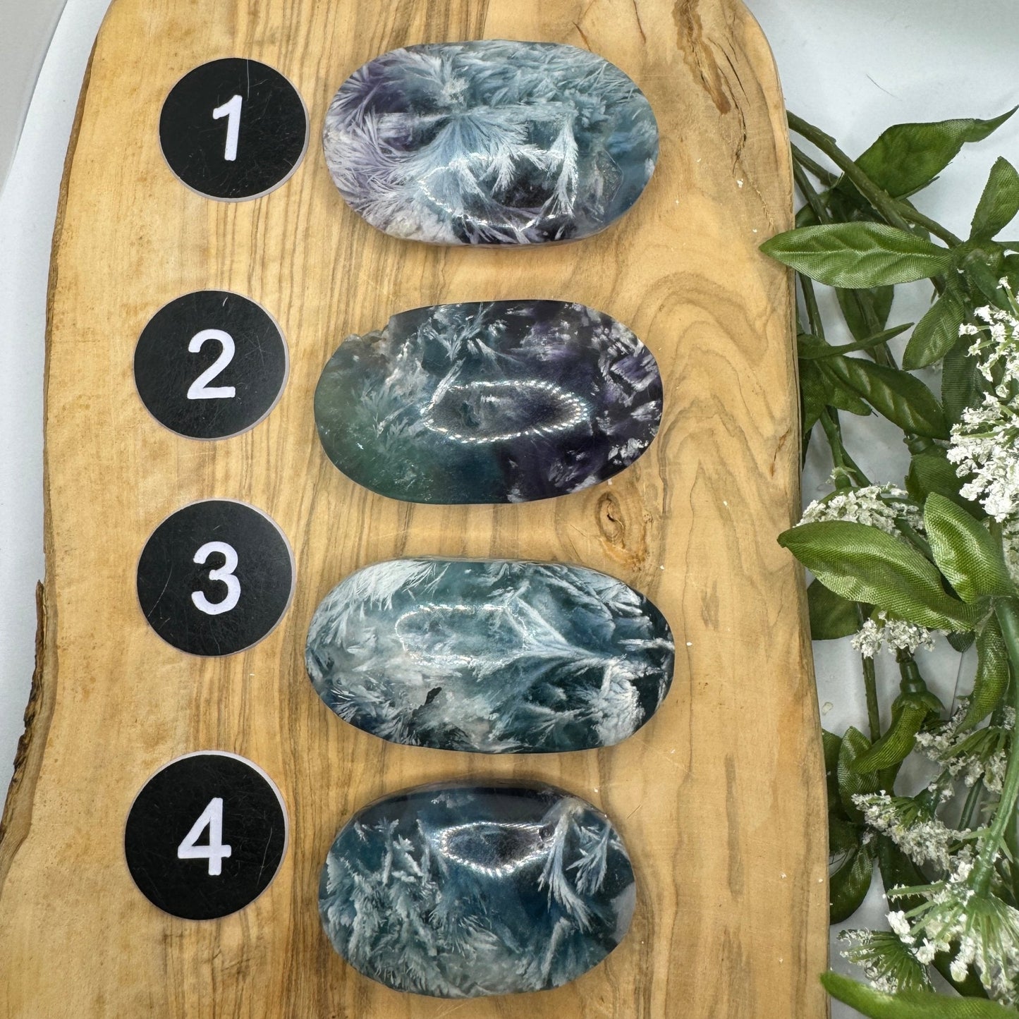 Snow Fluorite Palm Stone - Sage & Magic
