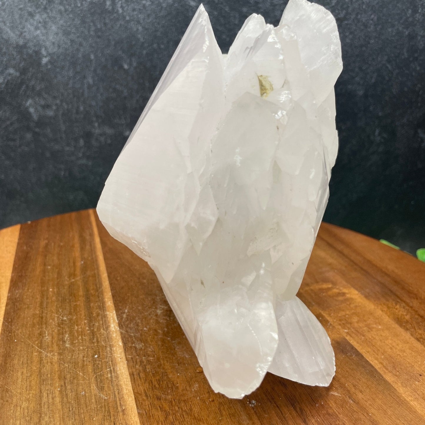 XL Bladed Mangano Calcite Specimen - Sage & Magic