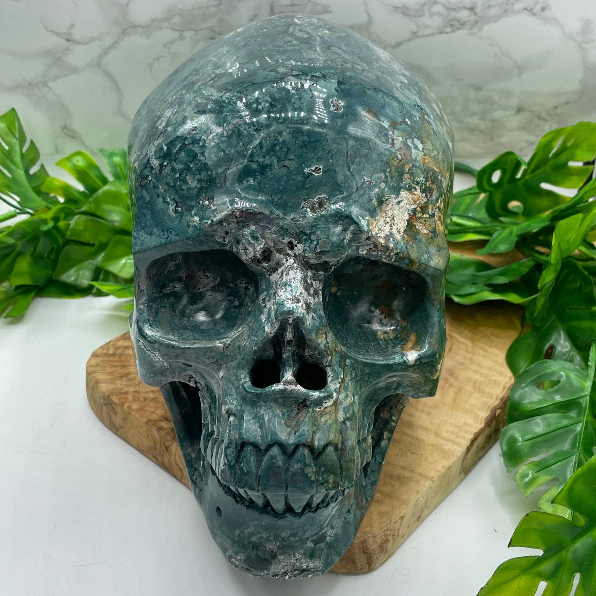 Ocean buying jasper skull