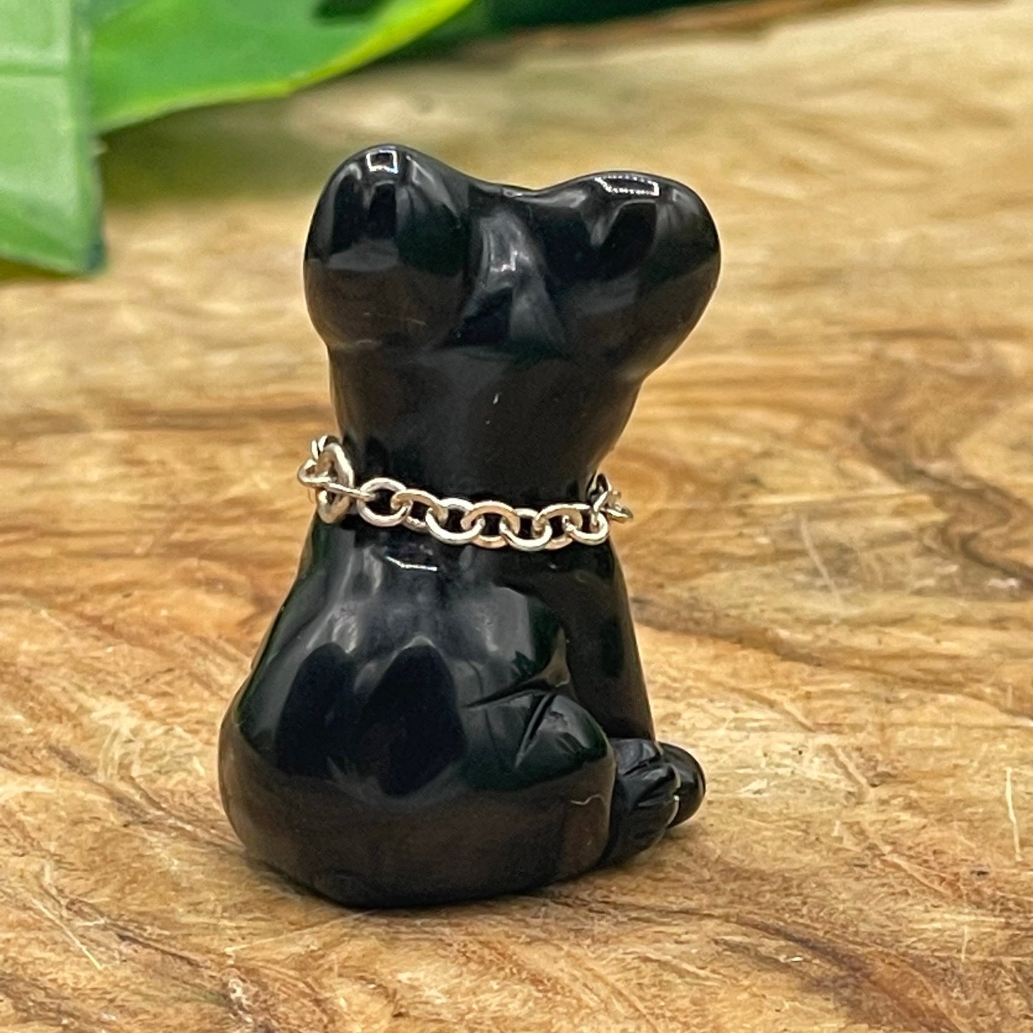 Mini Black Obsidian Frenchie Terrier Dog