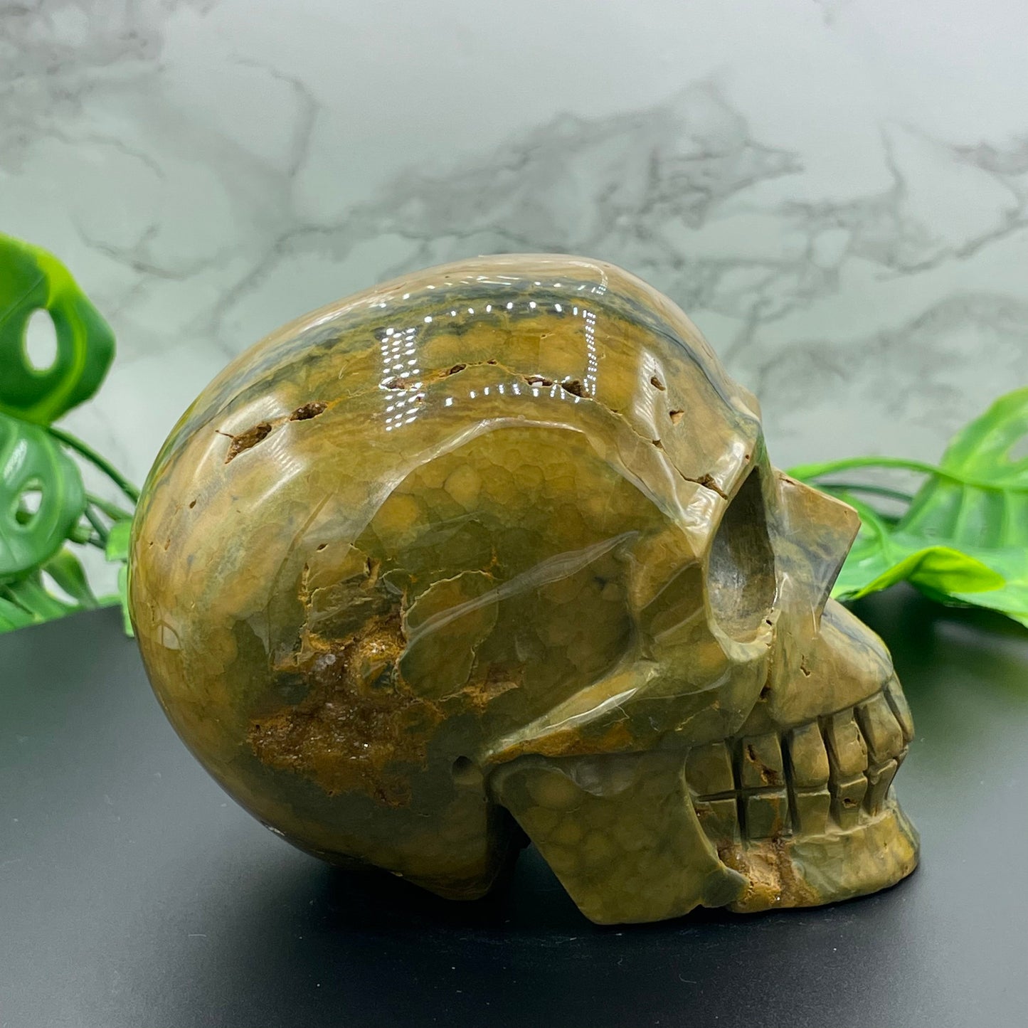Olive Green Striped Ocean Jasper Skull