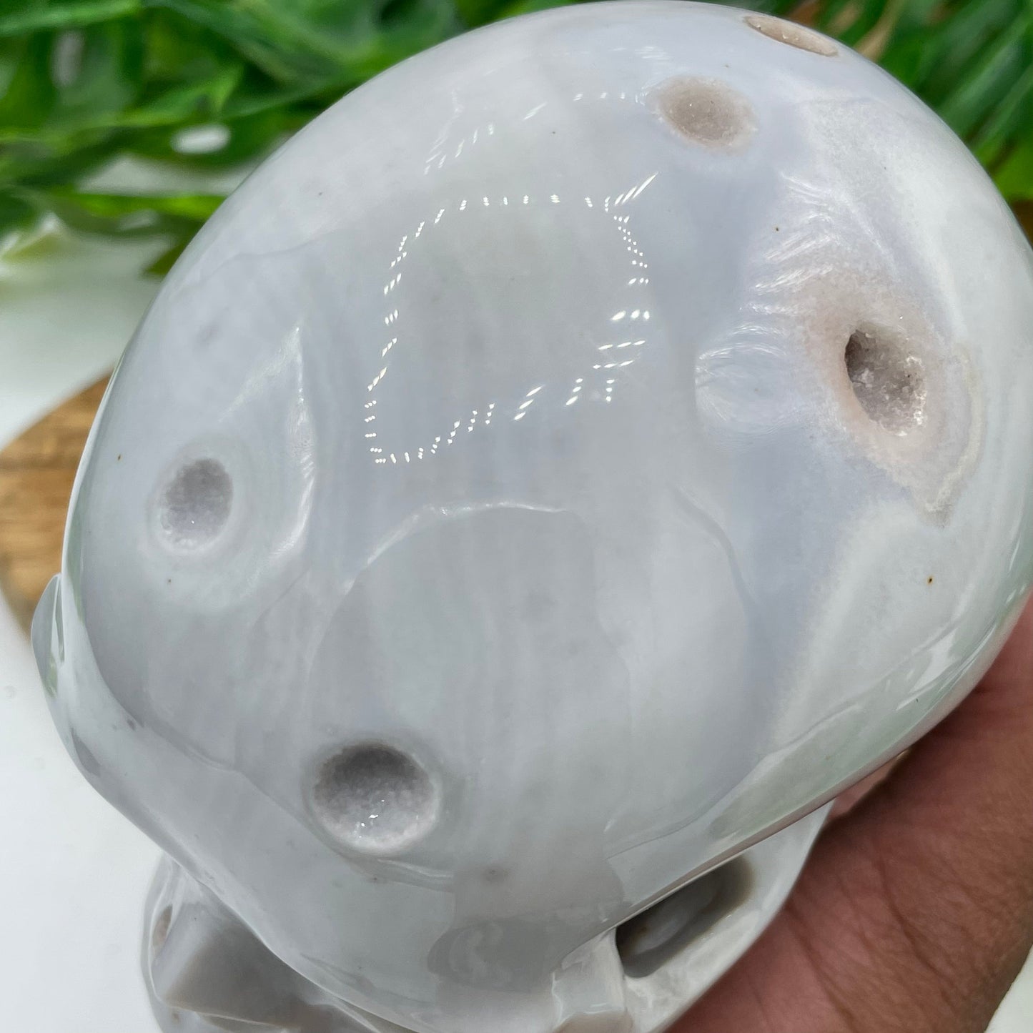 Gray Agate with Druzy Moon Skull