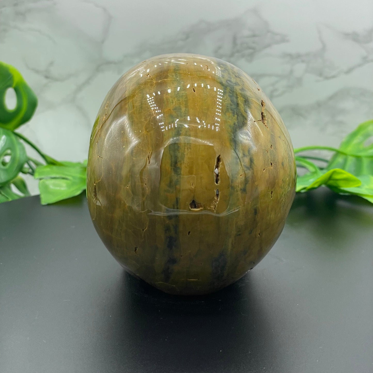 Olive Green Striped Ocean Jasper Skull