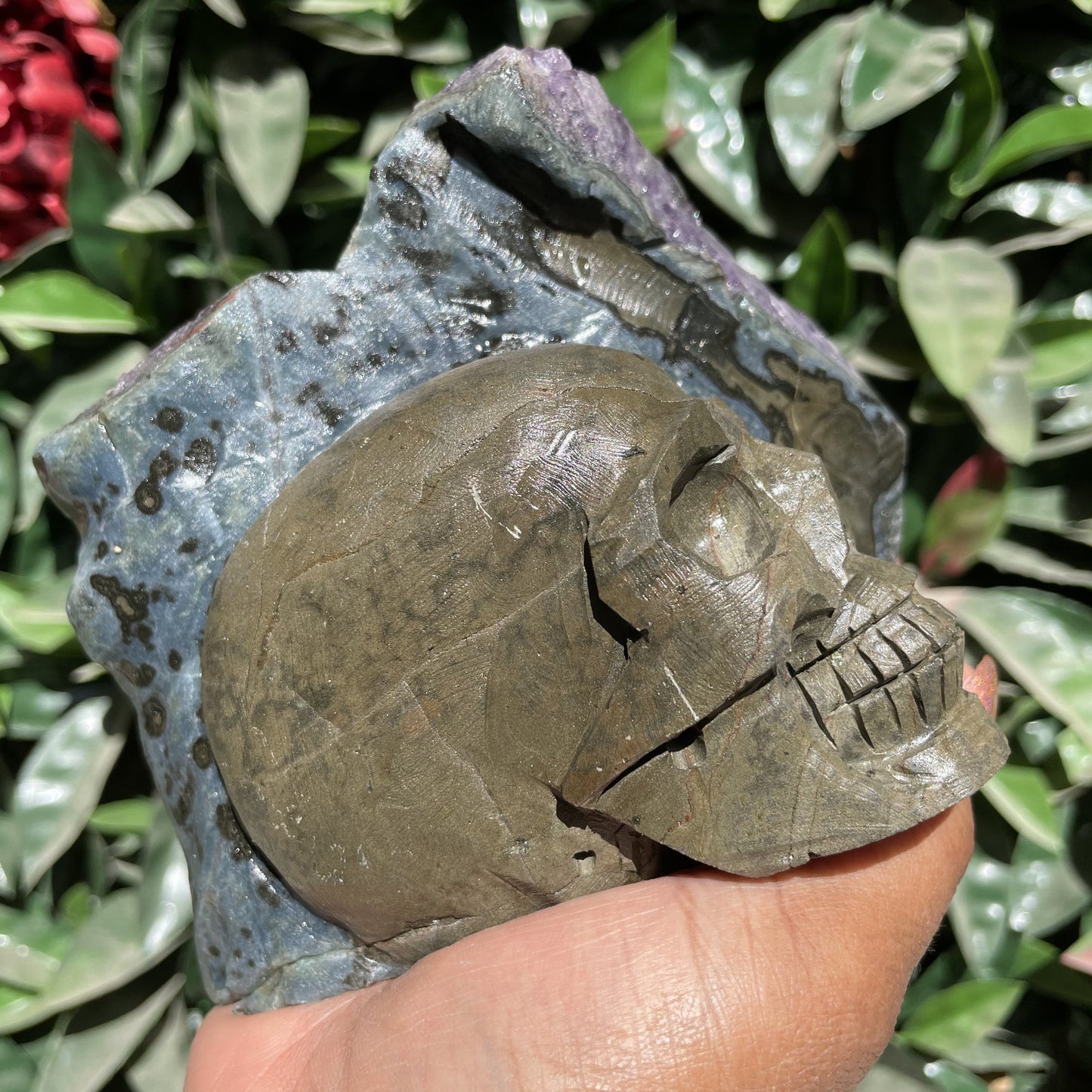 Amethyst Cluster Skull