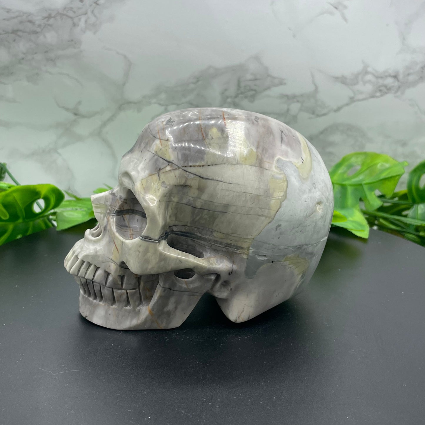 Picasso Jasper Skull