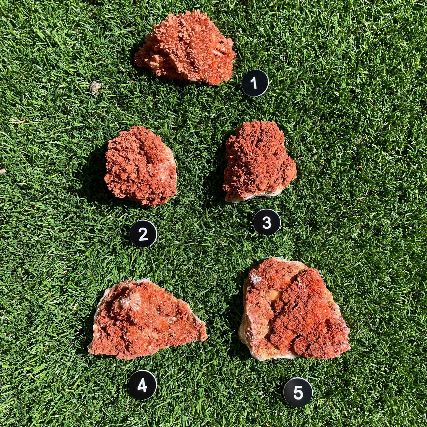 Starry Acicular Red Calcite