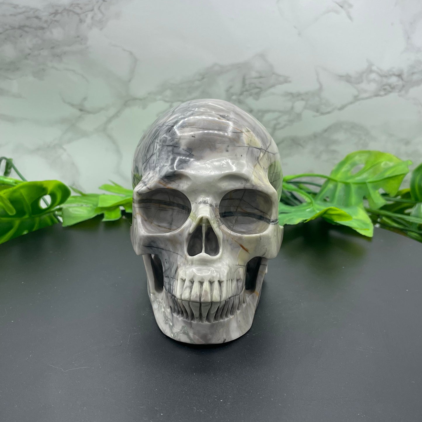 Picasso Jasper Skull
