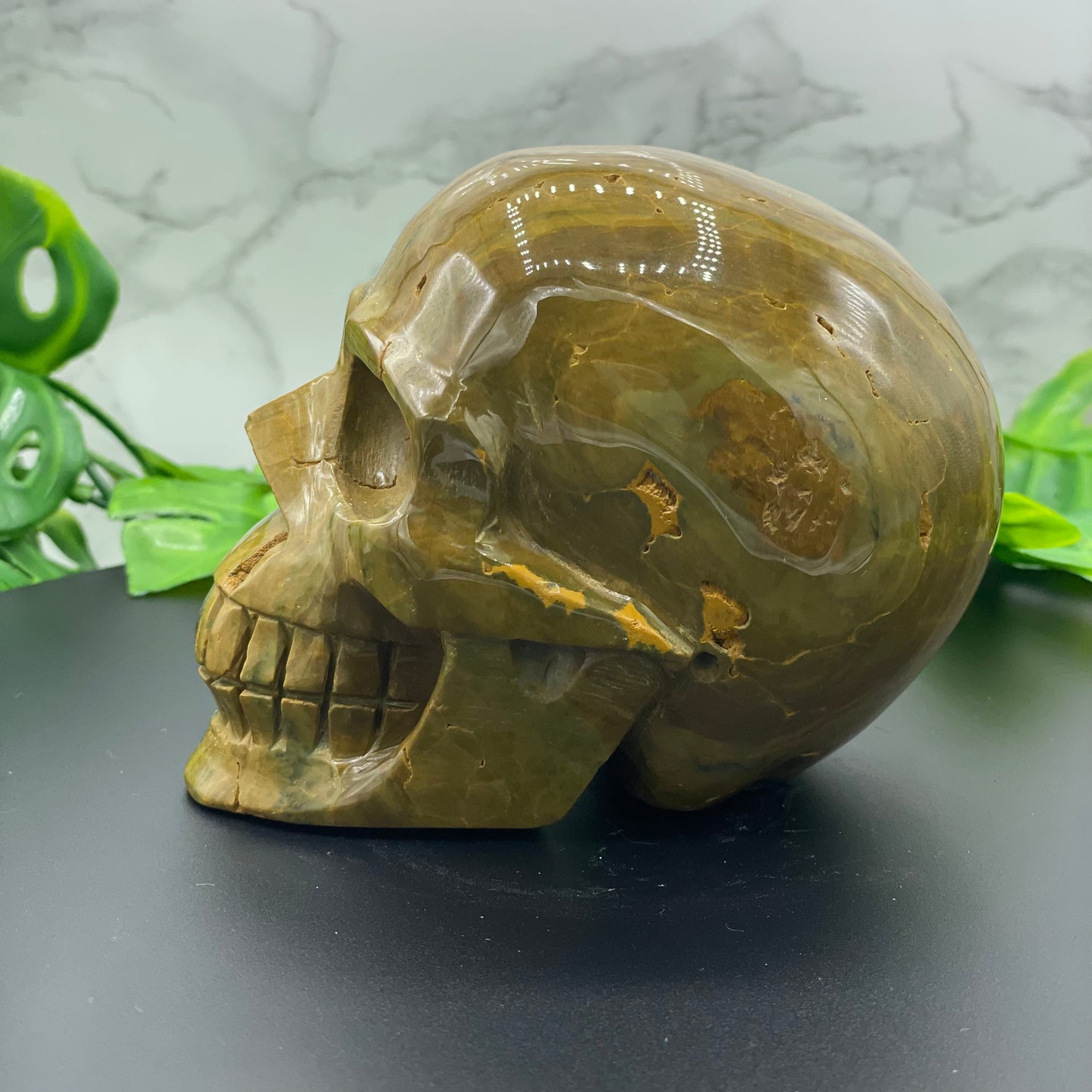 Olive Green Striped Ocean Jasper Skull