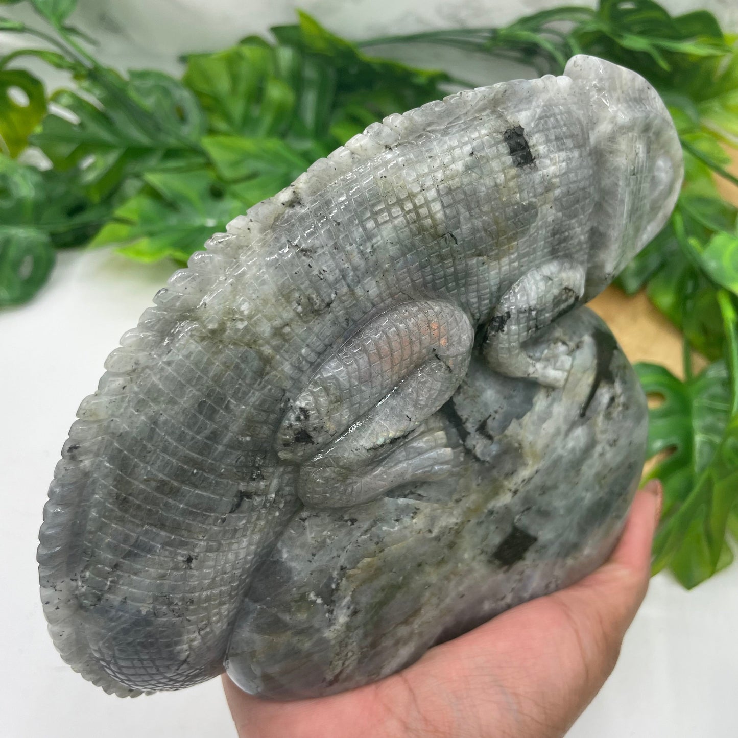 Sunset Labradorite Chameleon