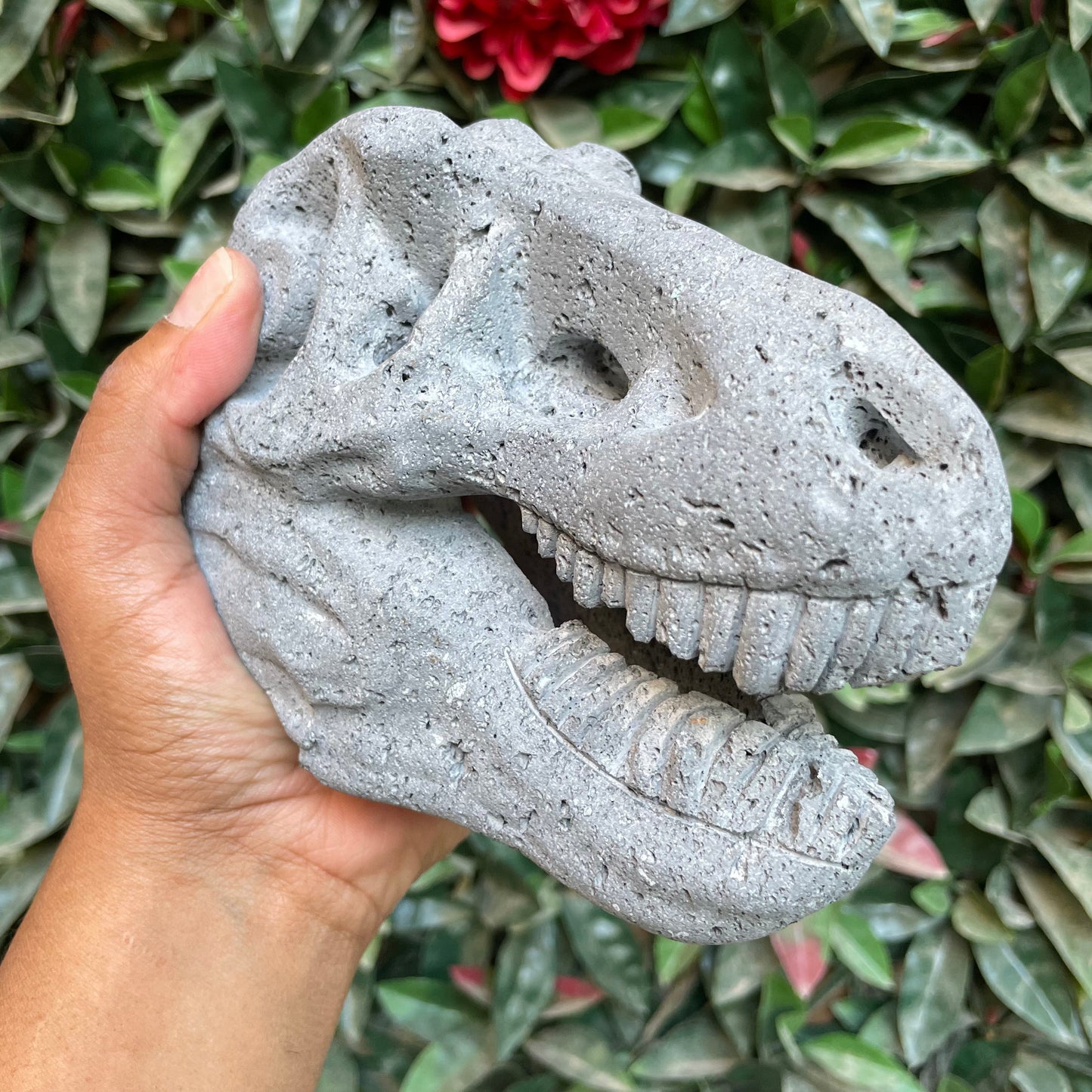 Large Lava Dino Skull