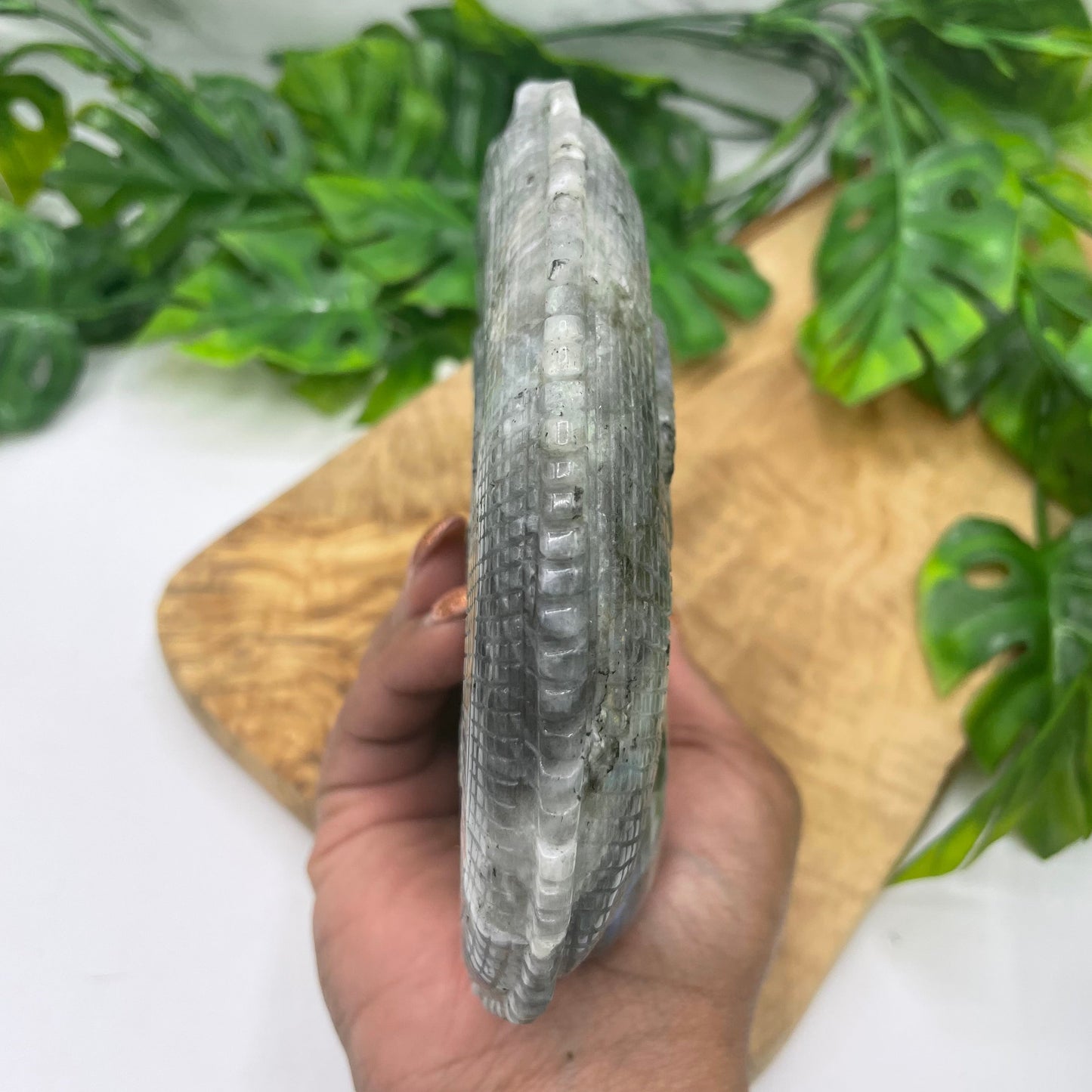 Sunset Labradorite Chameleon