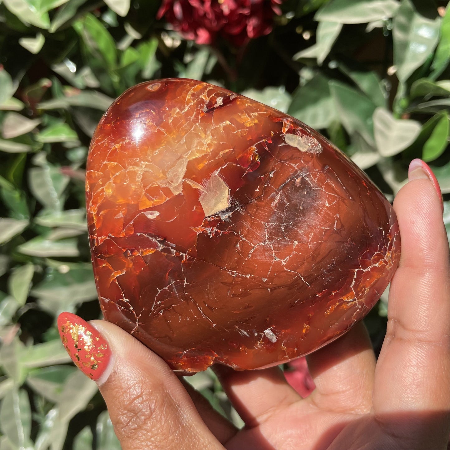Carnelian Agate Freeform