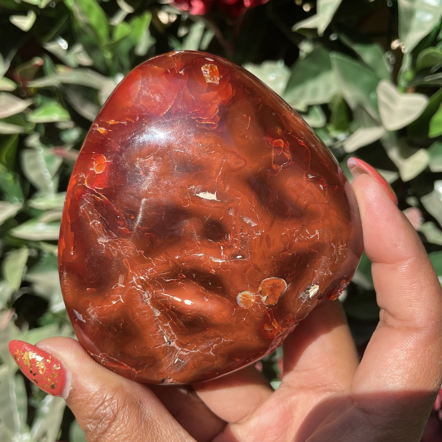 Carnelian Agate Freeform