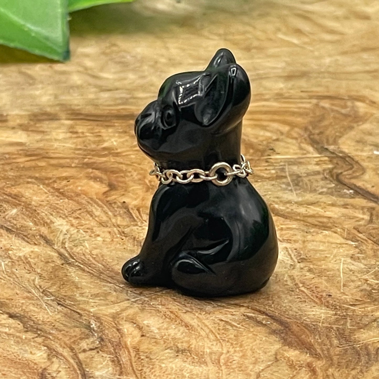 Mini Black Obsidian Frenchie Terrier Dog