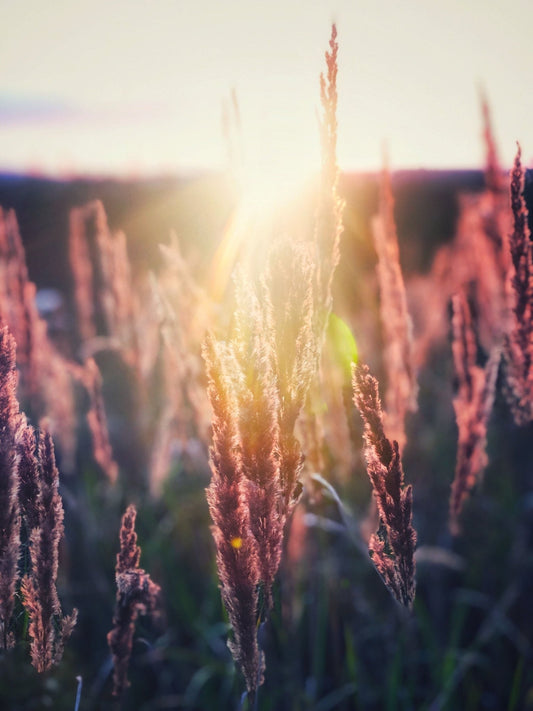 Channeling Your Spirit Guides - Sage & Magic