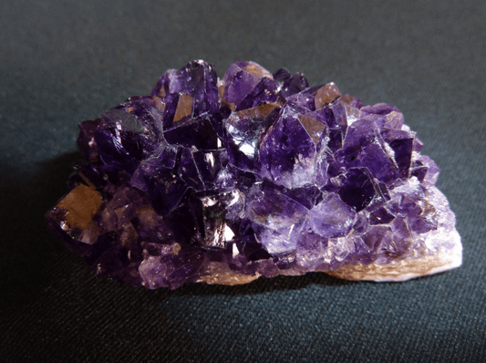 Crystals and Animal Healing: What Pet Owners Should Know - Sage & Magic