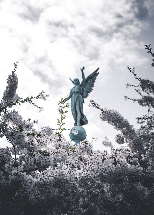 Divine Companions: Angels And Spirit Guides - Sage & Magic