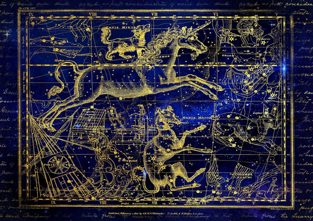 Selecting A House System In Astrology - Sage & Magic