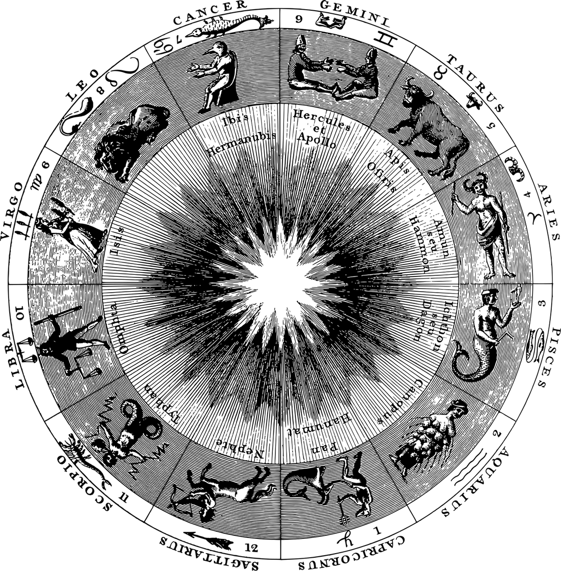 The Chart Wheel In Astrology - Sage & Magic