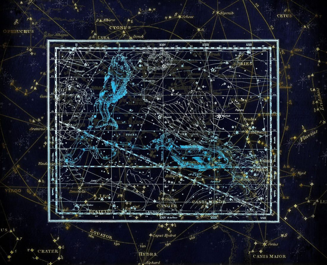 The Elements And Astrology - Sage & Magic