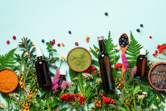 The Magic of Mushrooms and Herbs: A Journey to Wellness - Sage & Magic