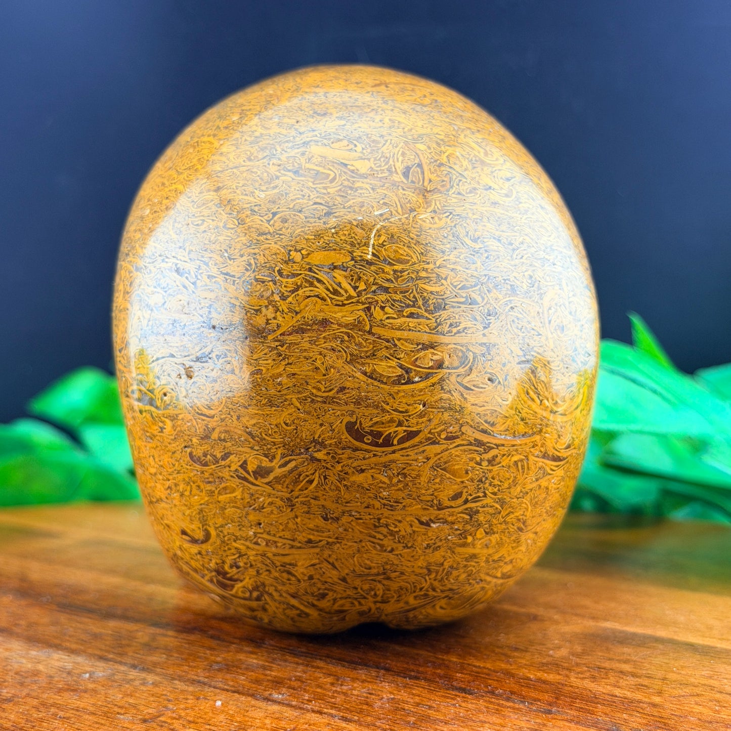 Elephant Skin Jasper Skull