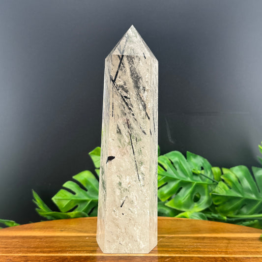 Black Tourmaline in Smoky Quartz Tower
