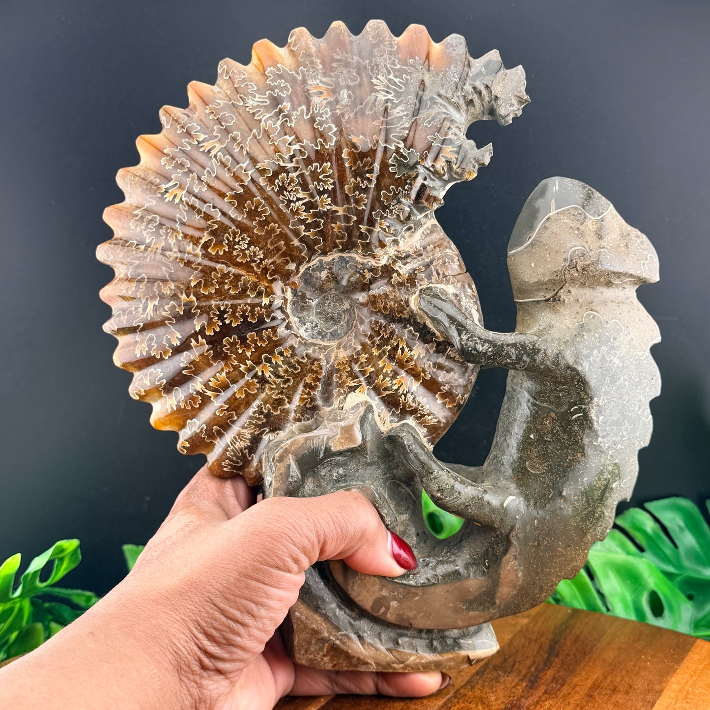 Ammonite Lizard Carving