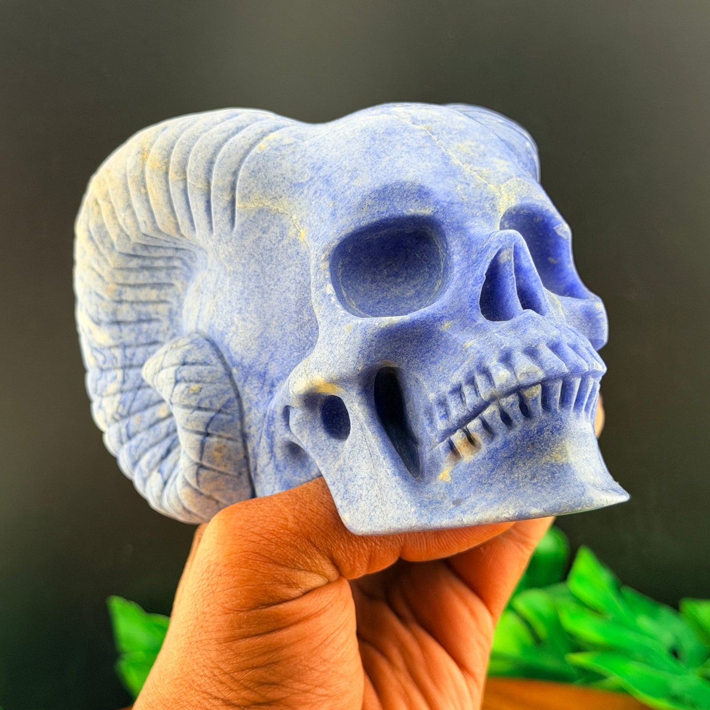 Blue Aventurine Horned Skull