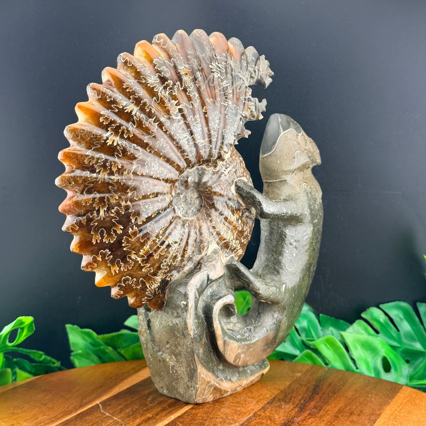 Ammonite Lizard Carving