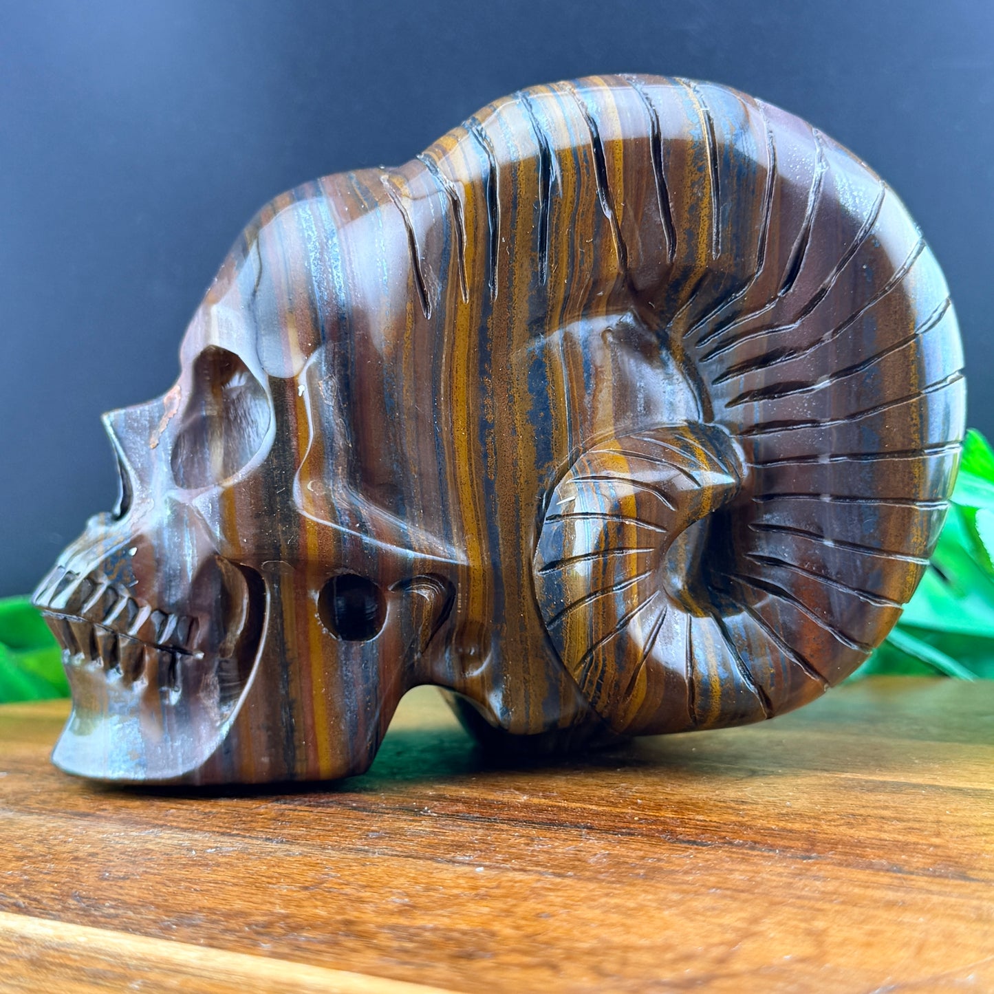 Iron Tiger Eye Horned Skull