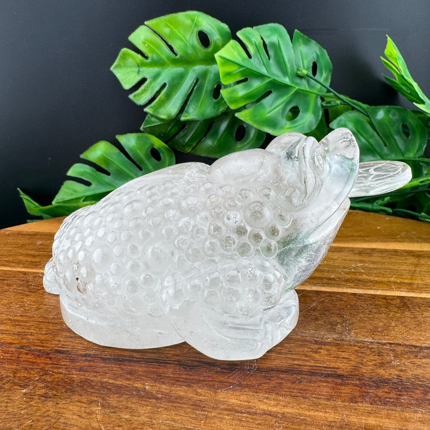 Clear Quartz Money Toad