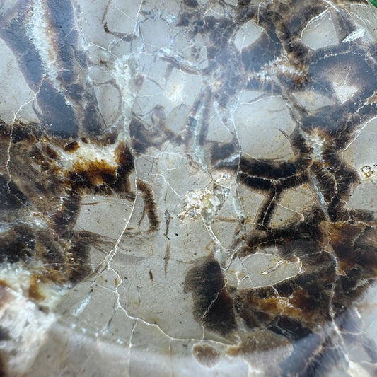 Septarian Bowl