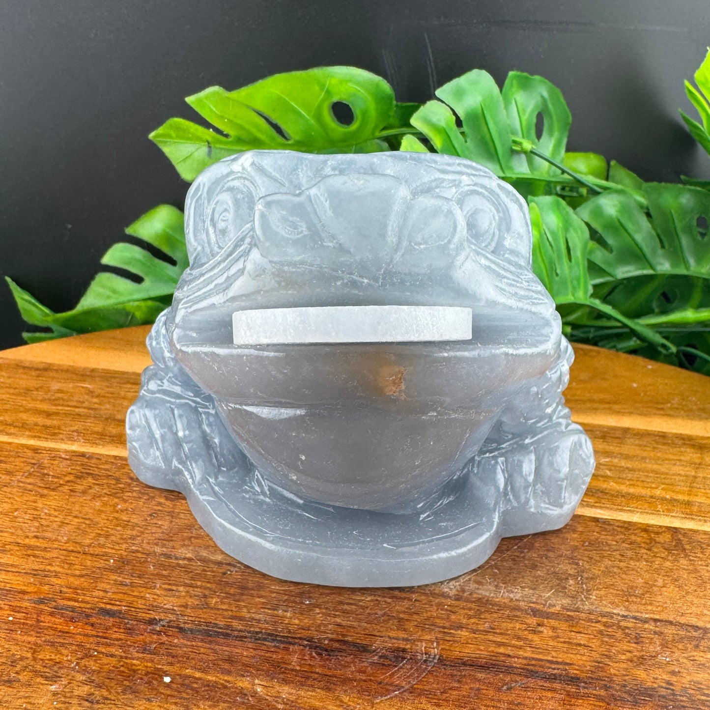 XL Angelite Money Toad