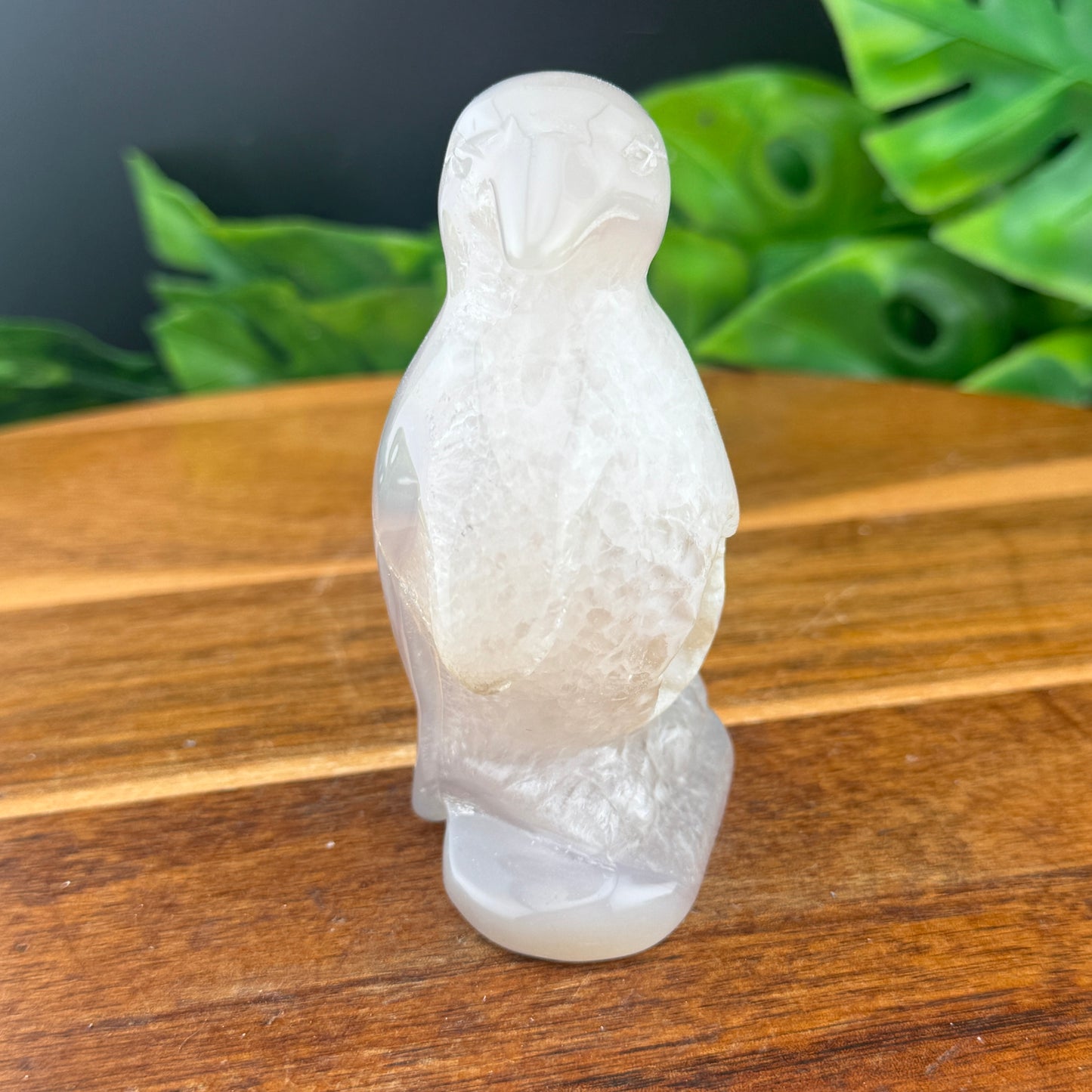 Botyrodial Druzy Agate Penguin