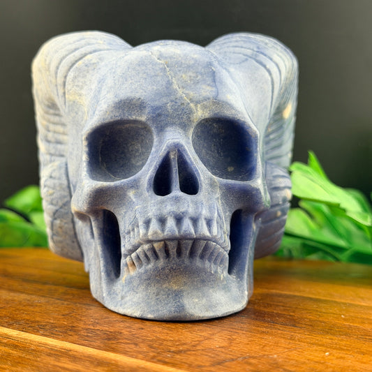 Blue Aventurine Horned Skull