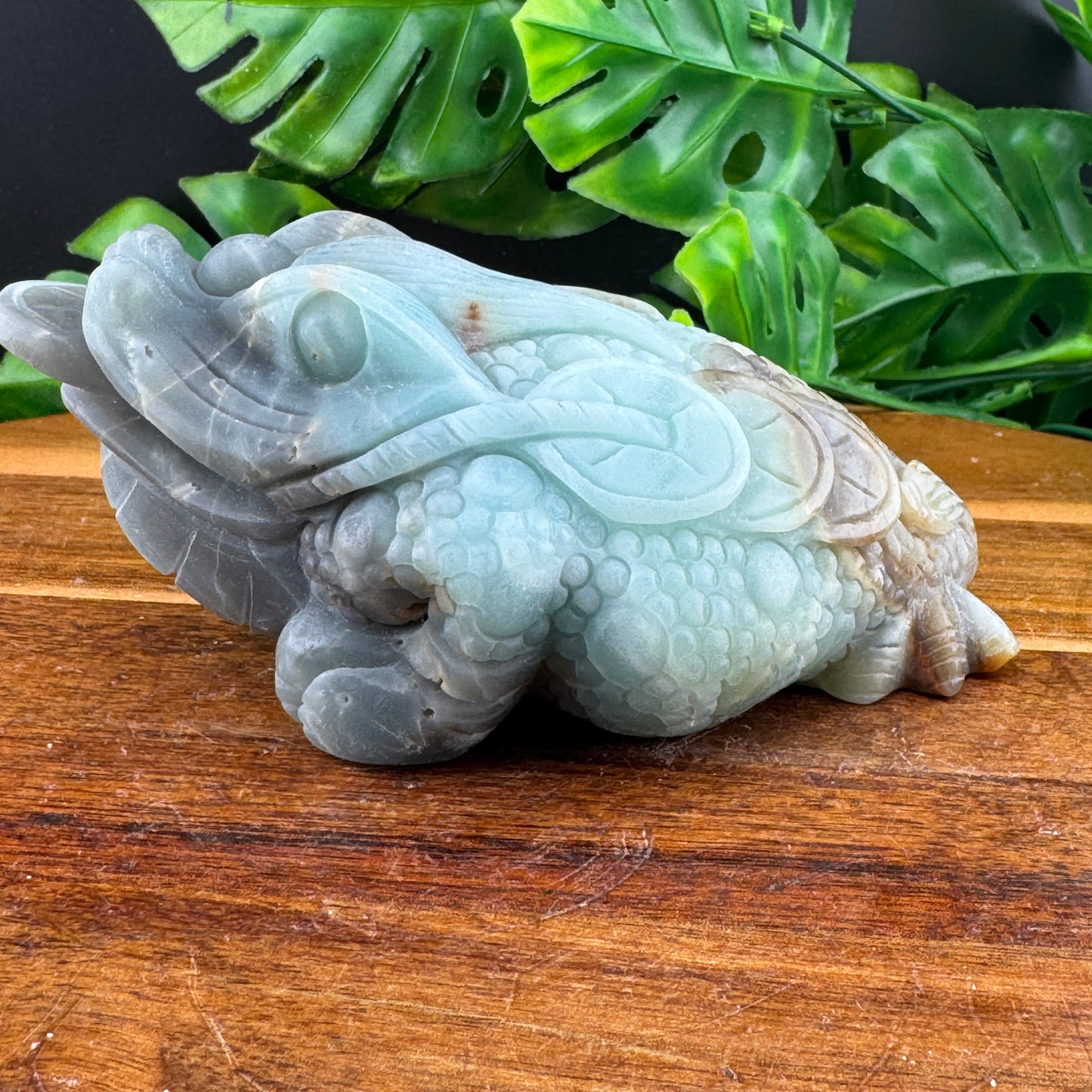 Amazonite Money Toad