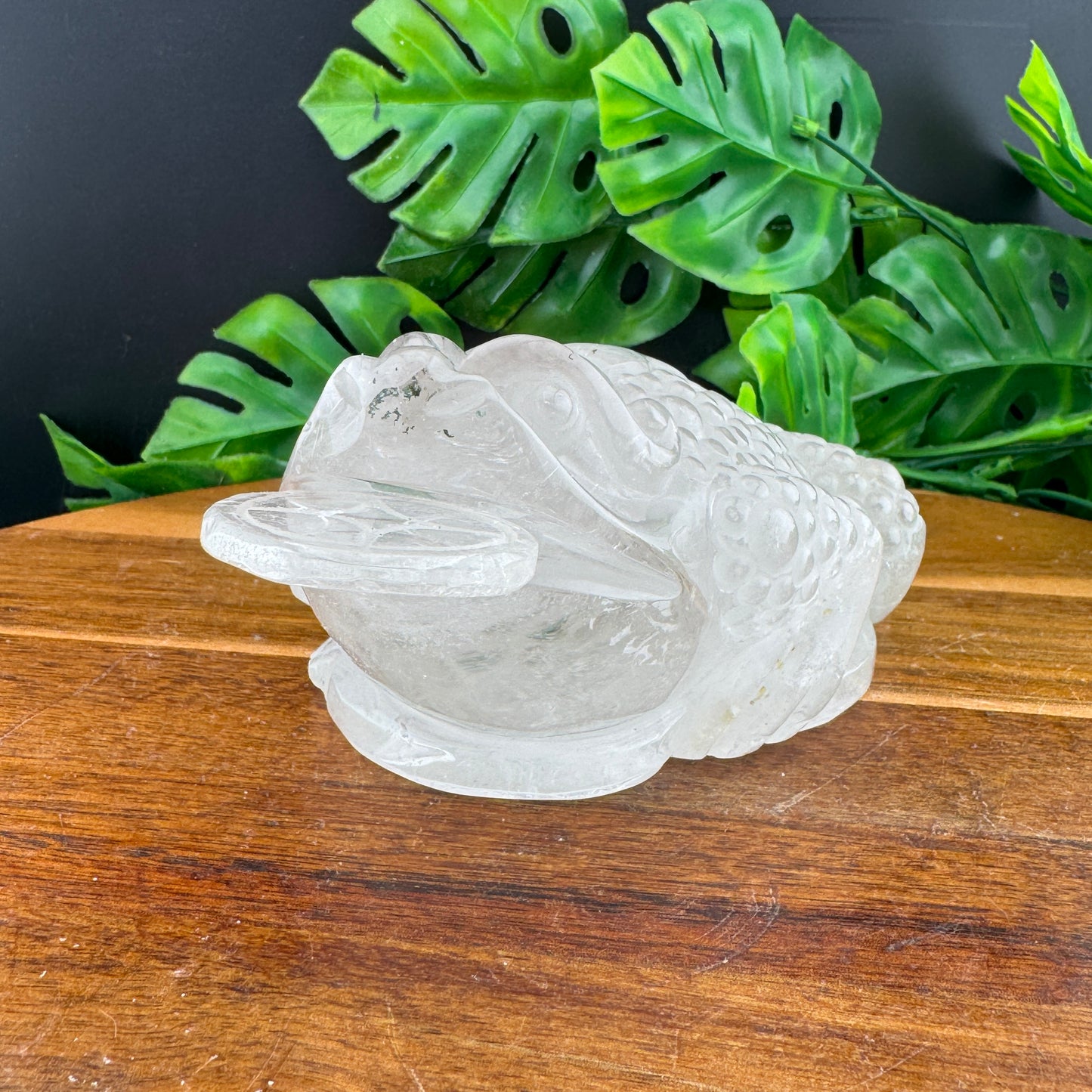 Clear Quartz Money Toad