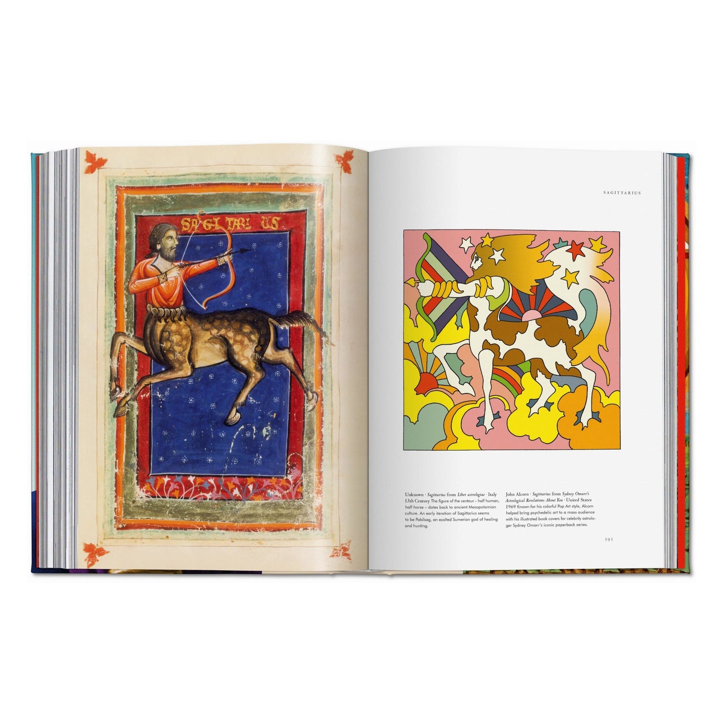 Astrology. The Library of Esoterica (English)