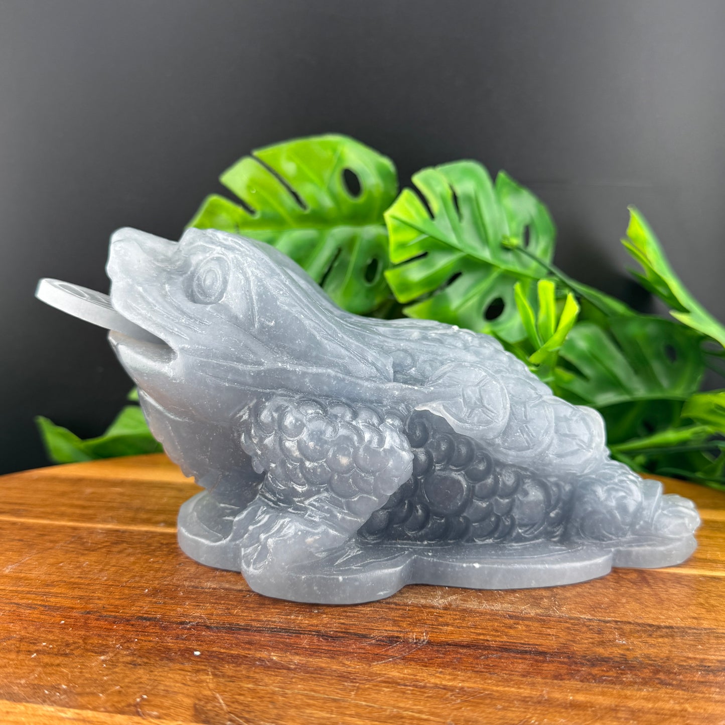 XL Angelite Money Toad