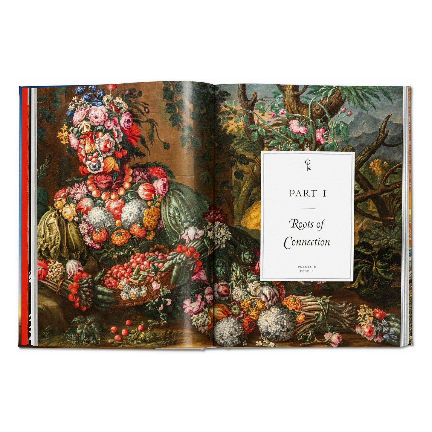 Plant Magick. The Library of Esoterica (English)