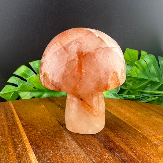 Golden Healer XL Mushie Carving