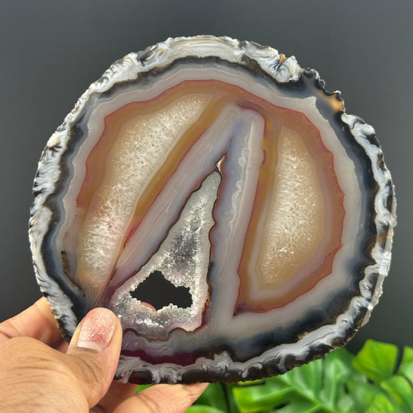 Beautiful Agate Geode Slice with Stand