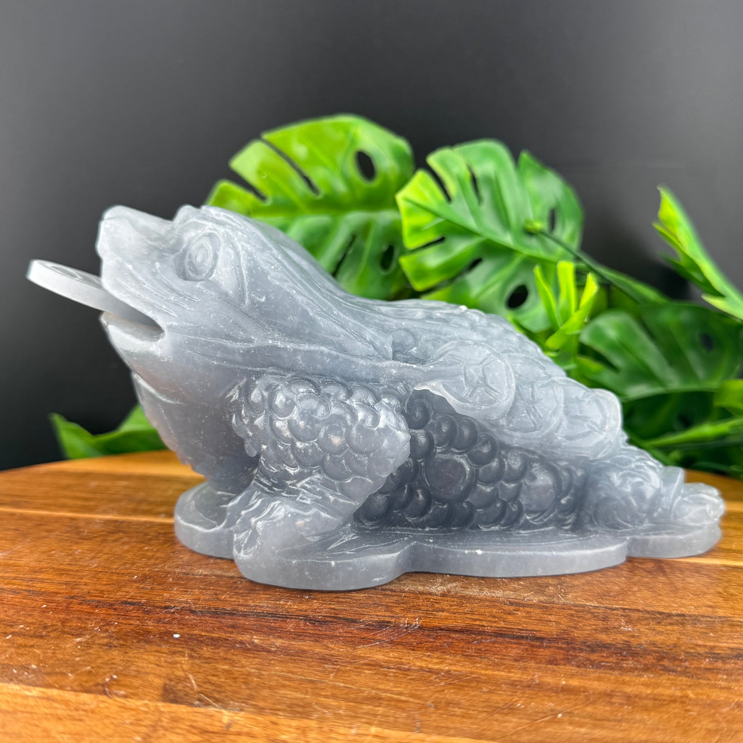 XL Angelite Money Toad