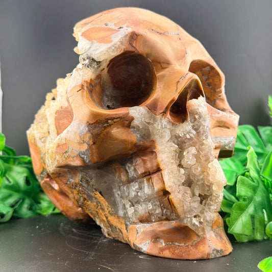 XL 10 inch Cotton Candy Agate Skull