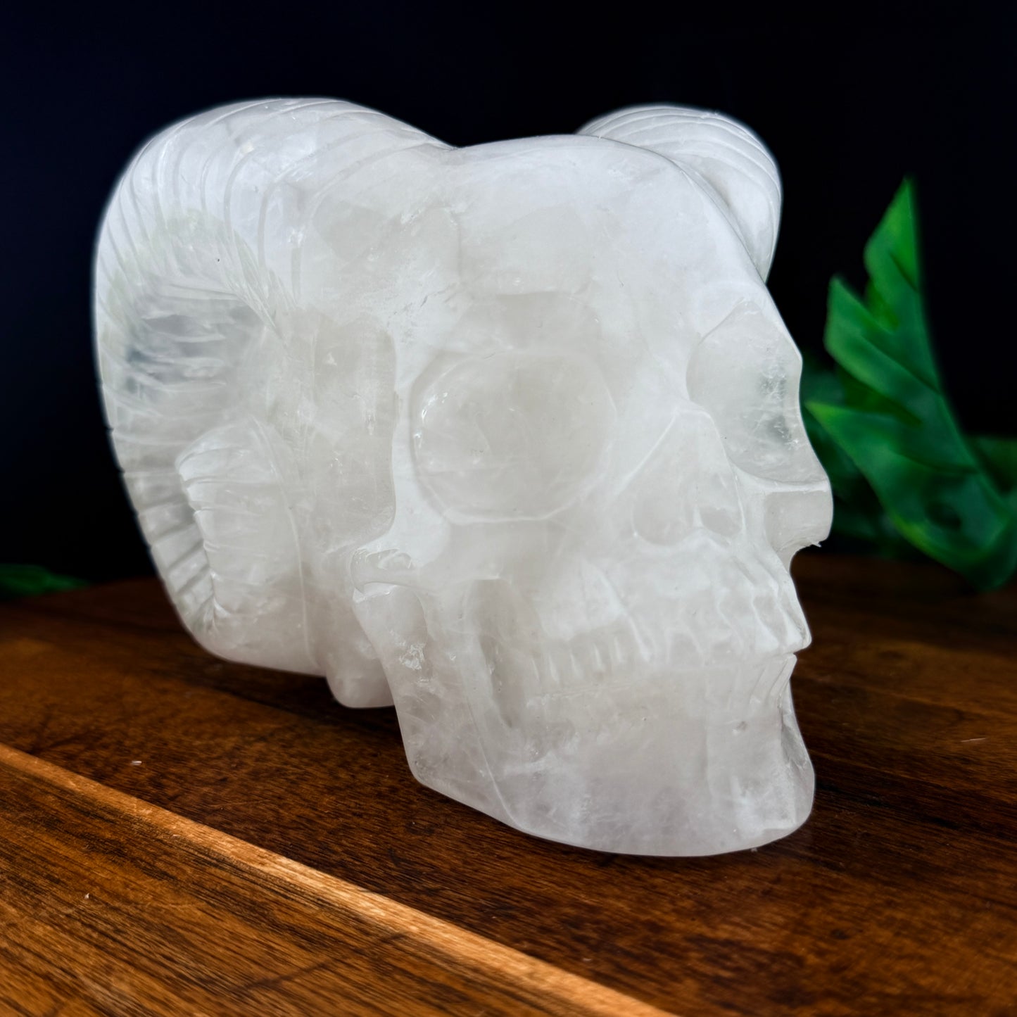Clear Quartz Horned Skull
