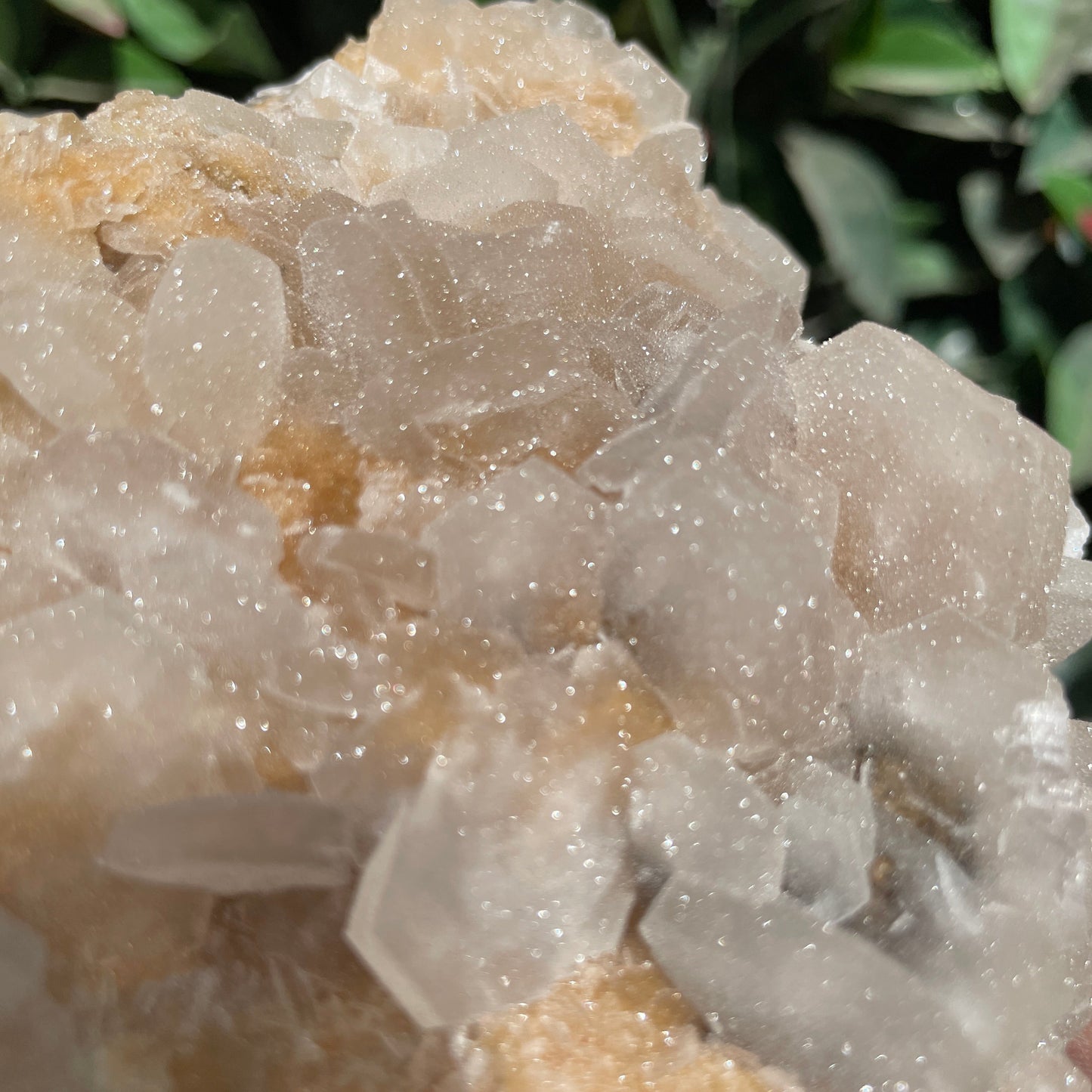 Rare Full Sugar Druzy Bladed Calcite Specimen