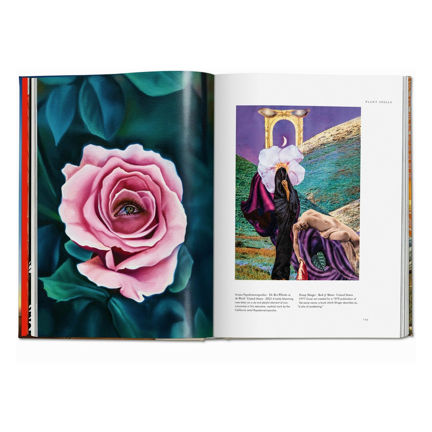 Plant Magick. The Library of Esoterica (English)