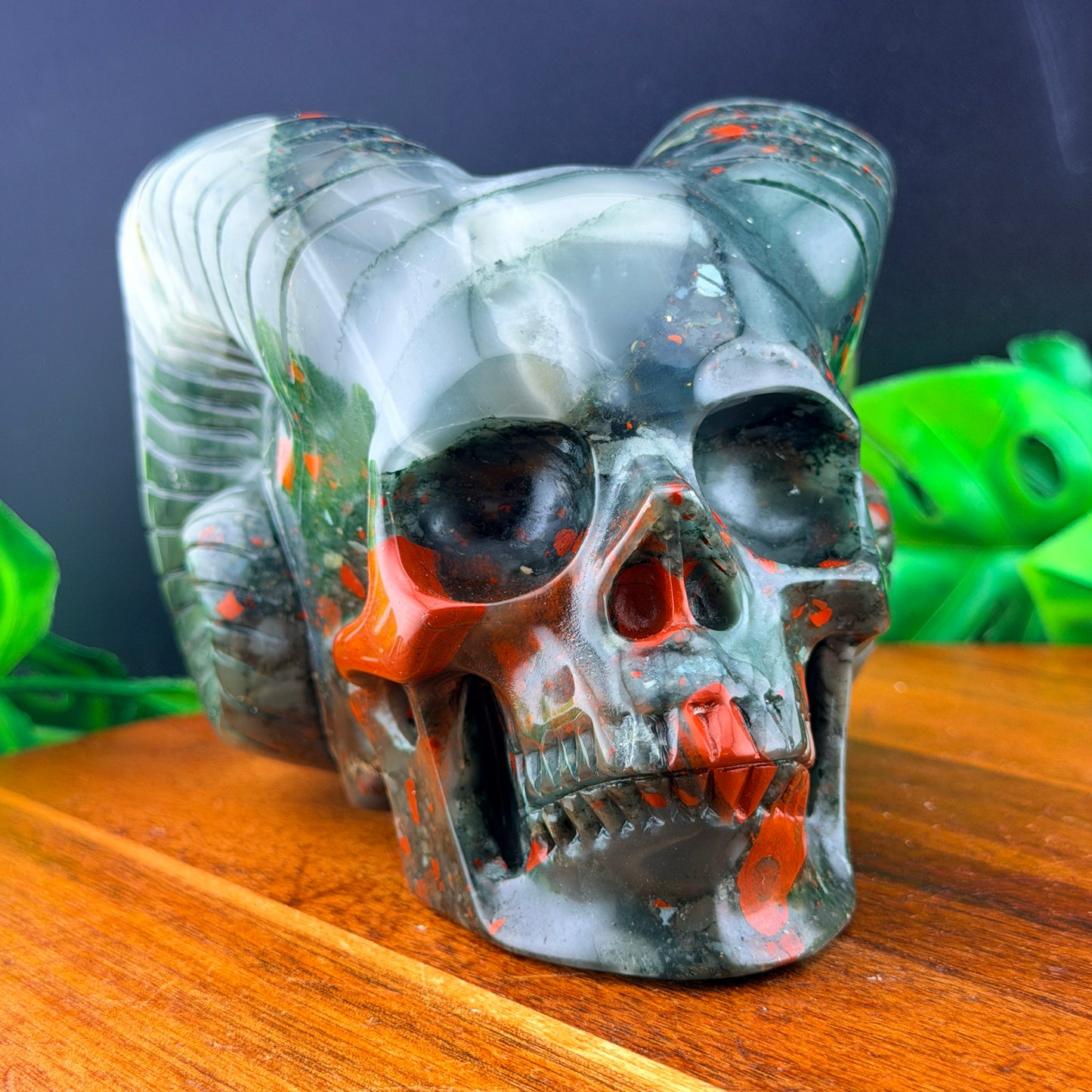 African Bloodstone Horned Skull