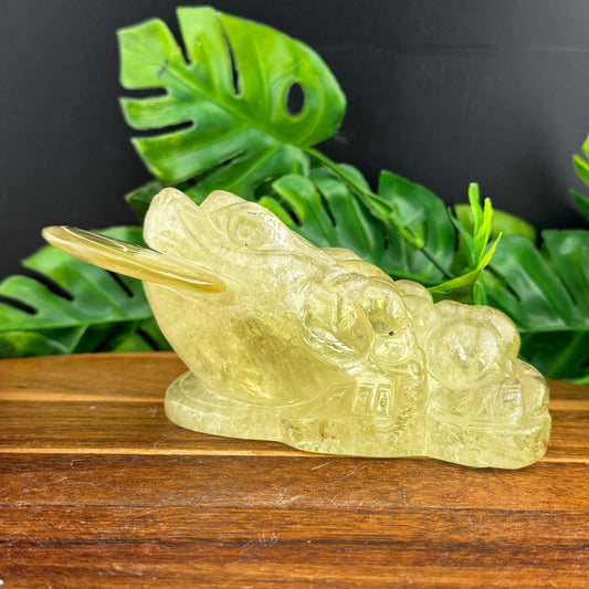 HT Citrine Money Toad